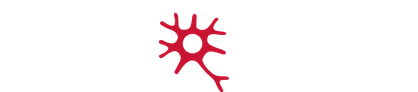 PN Hybrid
